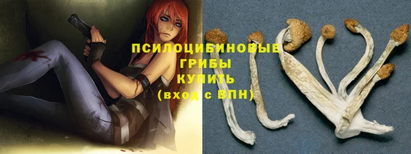 гидропоника Аркадак