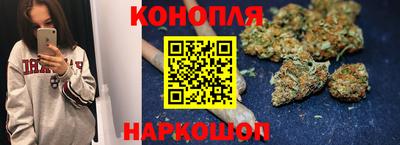 гашик Новокубанск