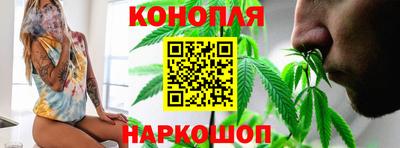 гашик Новокубанск