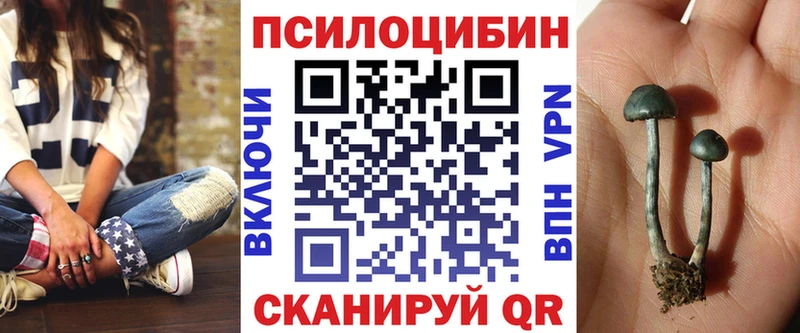Псилоцибиновые грибы Psilocybine cubensis Усть-Лабинск