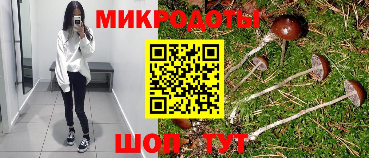 Псилоцибиновые грибы Psilocybine cubensis  Вход с VPN  хочу наркоту  Галлюциногенные грибы Psilocybe  Усть-Лабинск 