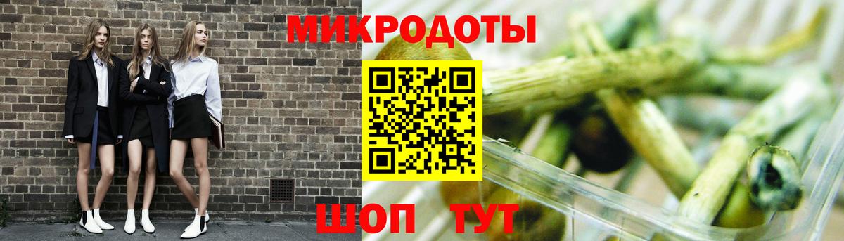 Псилоцибиновые грибы Cubensis Усть-Лабинск
